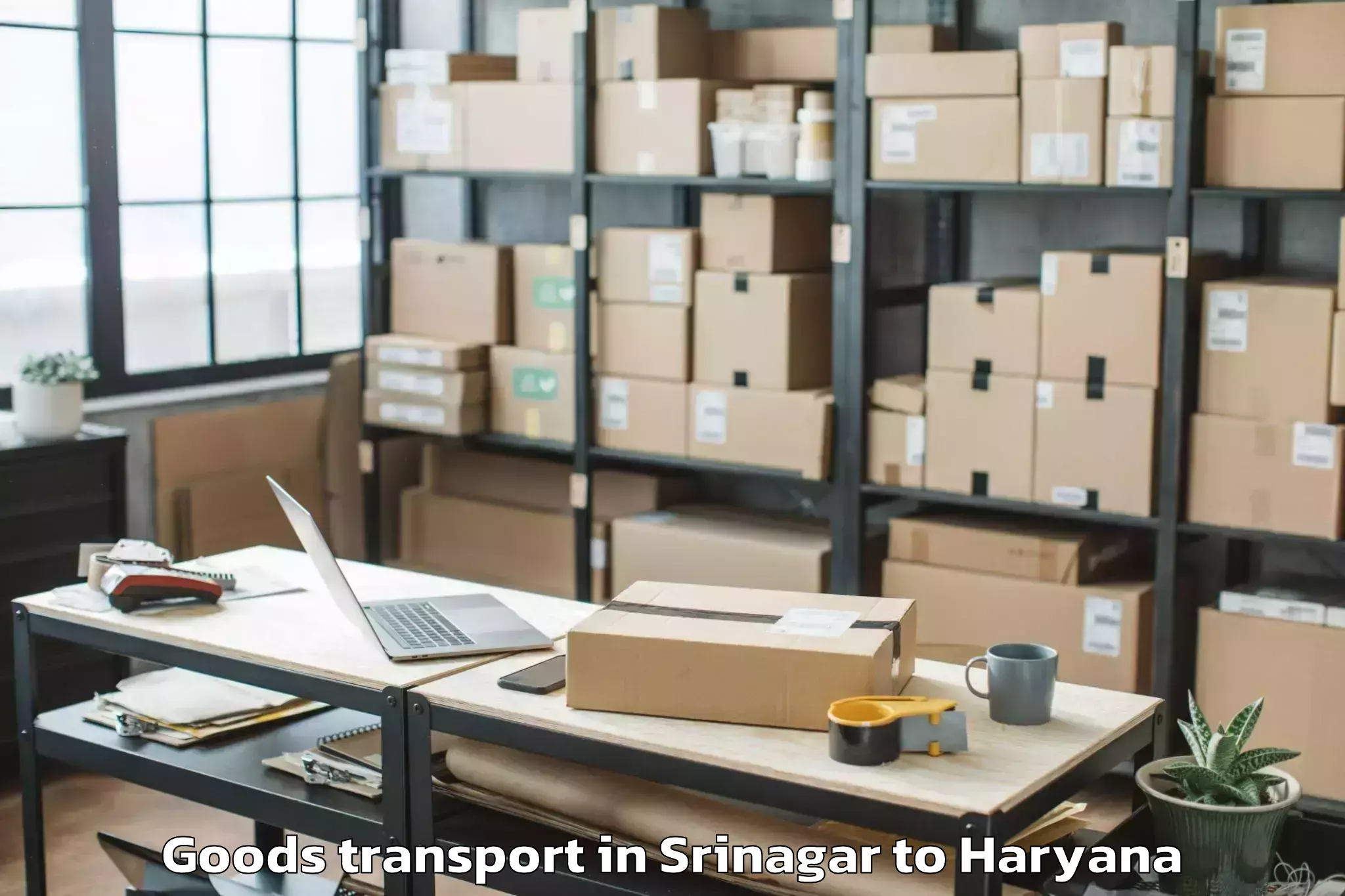 Reliable Srinagar to Op Jindal Global University So Goods Transport